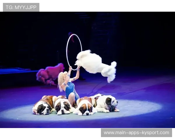 夜间马术赛场景别具一格，观众反响热烈，夜间马戏团